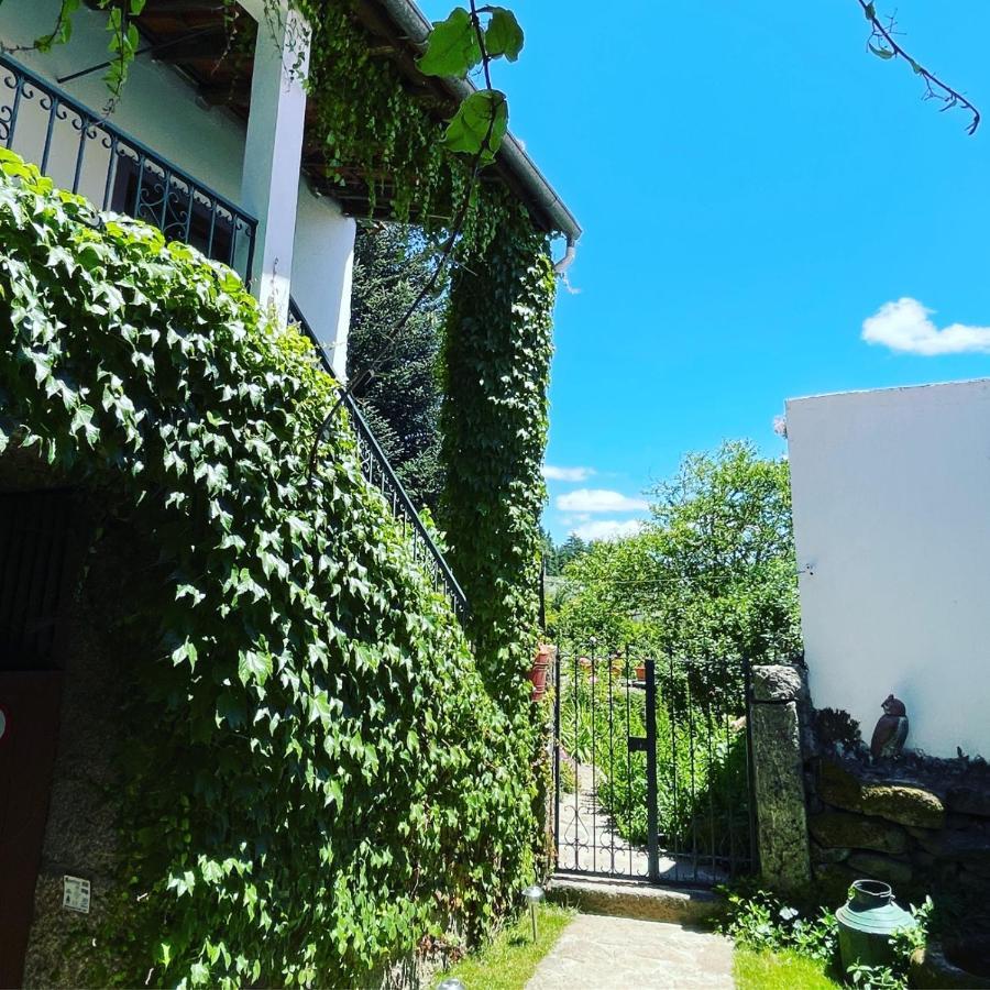 Casa Do Beco B&B Douro - Guest House Parambos Екстериор снимка